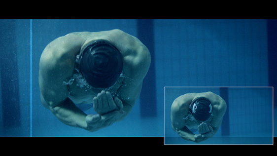 Visa Team Ambassadors